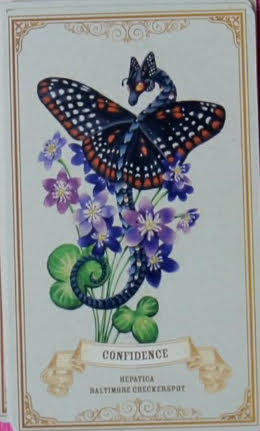 Enchanted Blossoms Empowerment Oracle